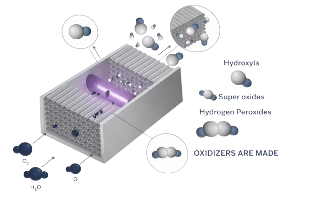 ActivePure honeycomb matrix generating molecules